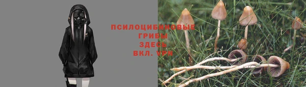 ПСИЛОЦИБИНОВЫЕ ГРИБЫ Куйбышев